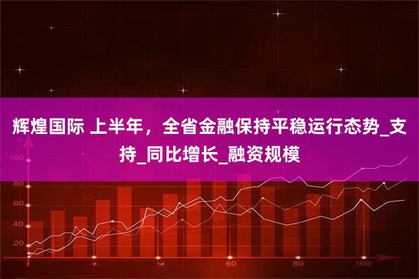 辉煌国际 上半年,全省金融保持平稳运行态势_支持_同比增长_融资规模